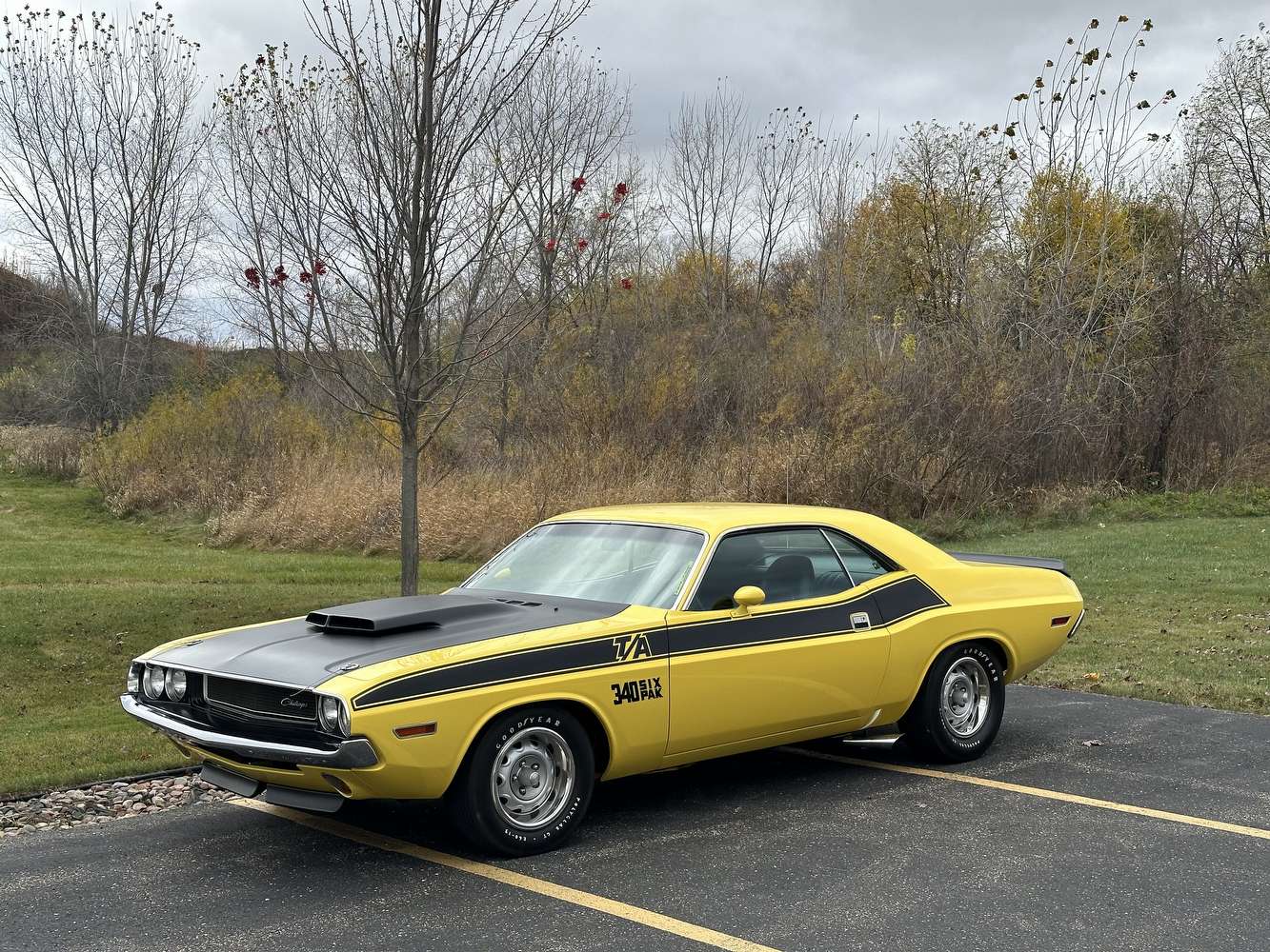 IMG_5064.jpeg IMG_5064.jpeg